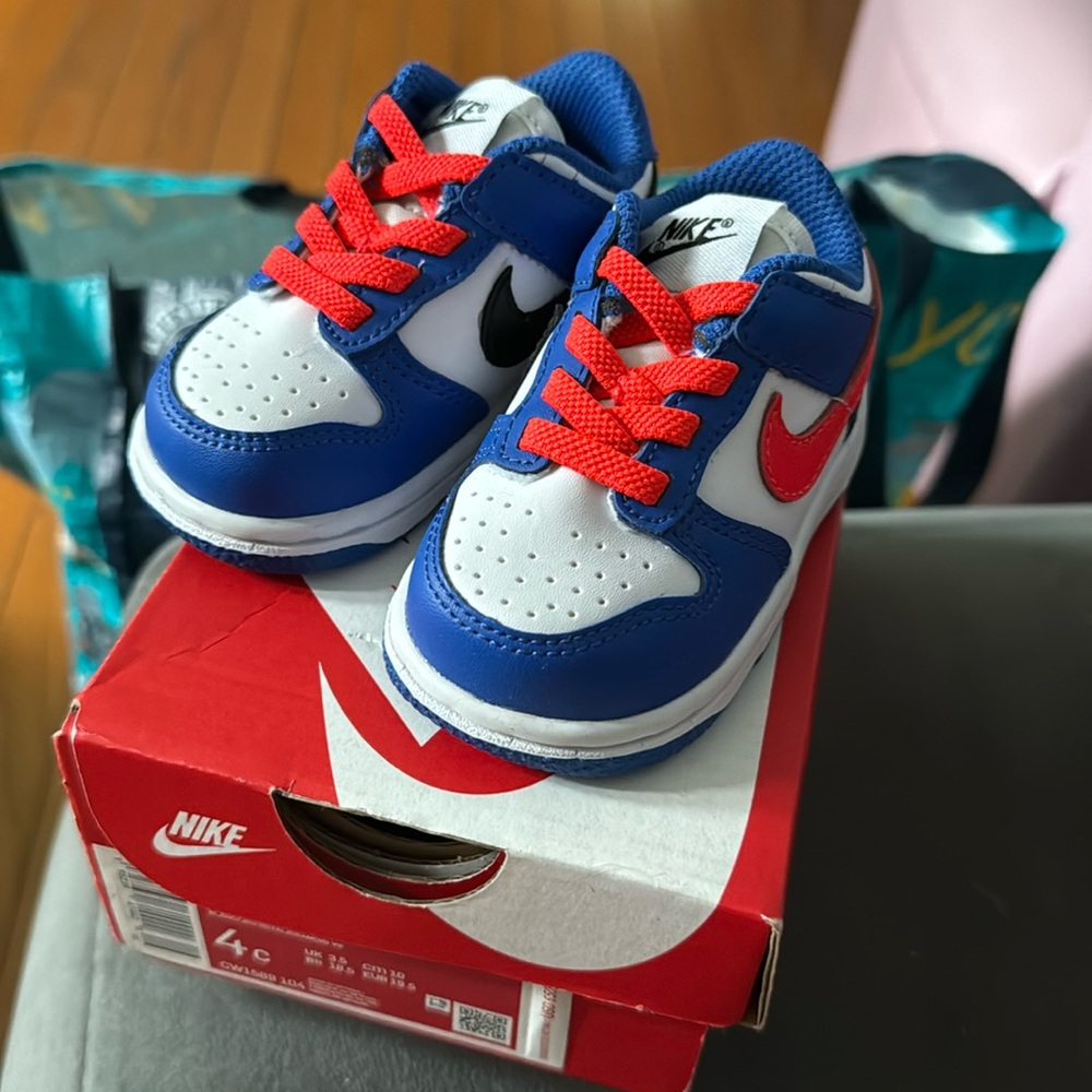 Size 4 brand new Nike dunks never worn